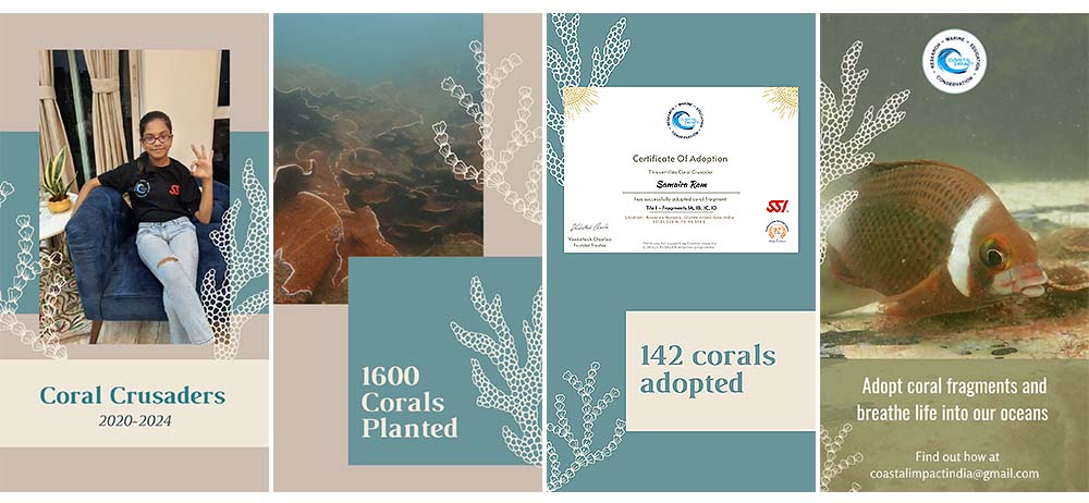 coastal impact ongoing projects coral crusaders