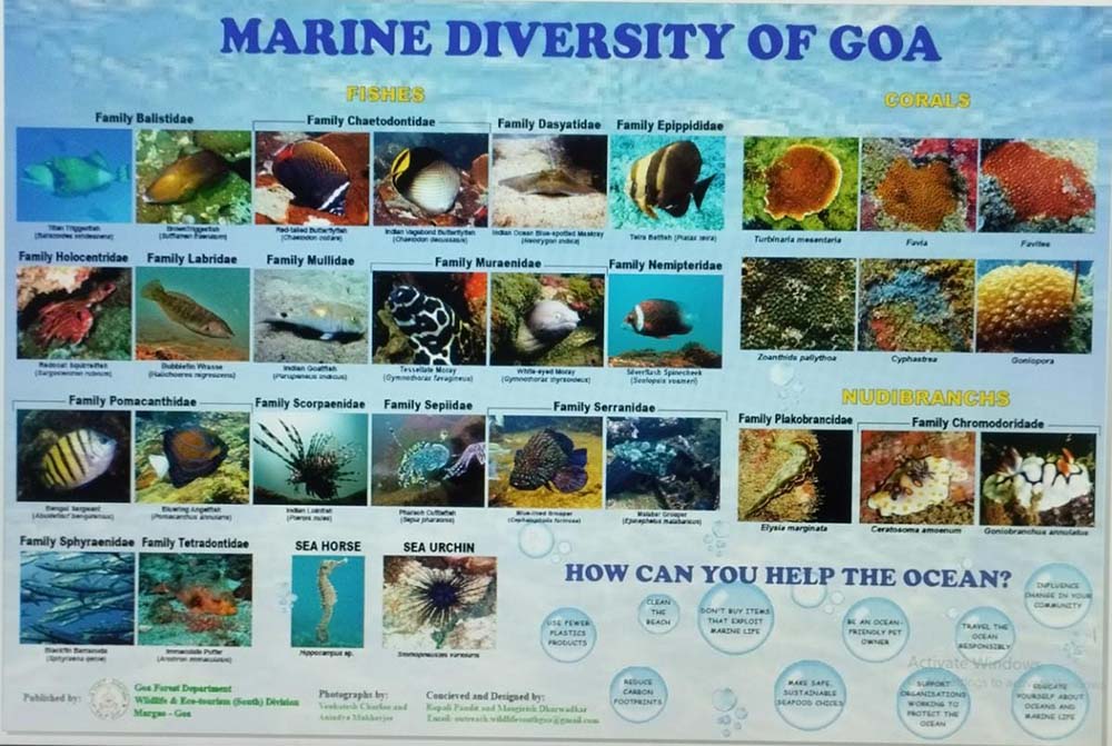 coastal impact ongoing projects